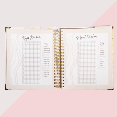 THE 2025 PRETTY PERFECT DIARY - PRE-ORDER - DUE MID DECEMBER